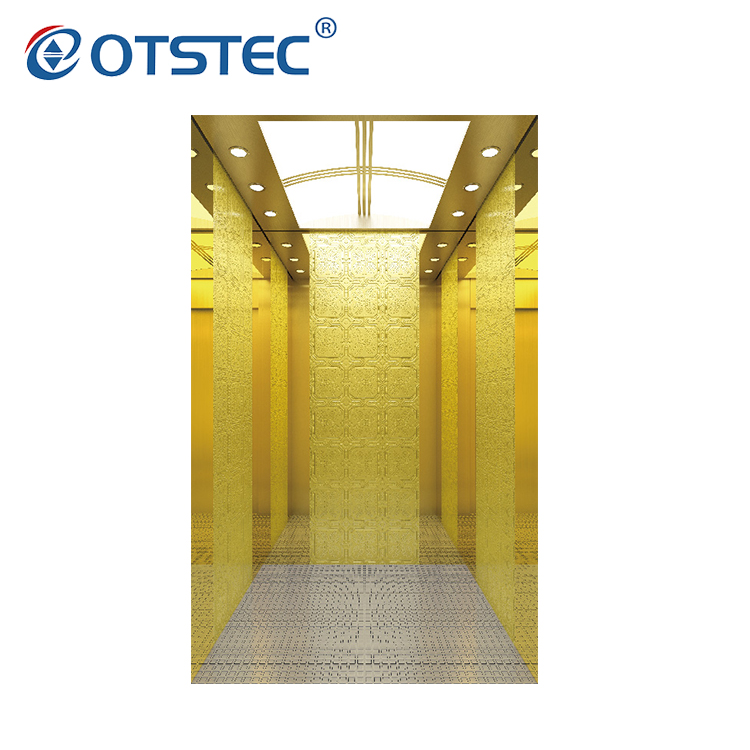Precio de elevación de ascensor de pasajeros de diseño personalizado de oro de titanio automático