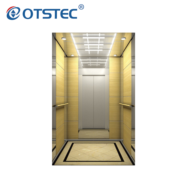 Precio grabado de espejo de acero inoxidable de diseño estándar de ascensores domésticos residenciales