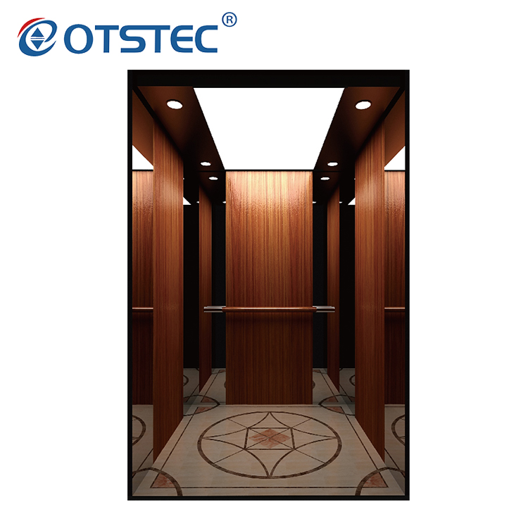 Proveedor de elevador de pasajeros de elevador de diseño económico y personalizado con certificaciones CE