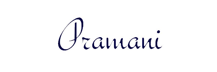 Pramani Ventas y Servicios - otstec